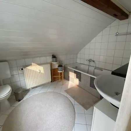Mainblick Voll Ausgestattet, Kueche, Klima, Wanne Апартаменты *